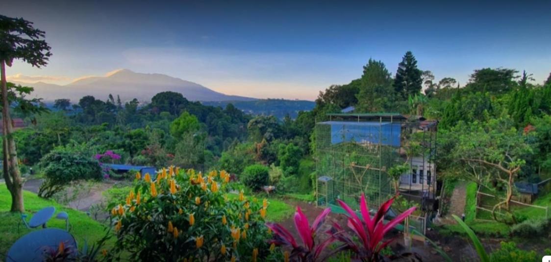 Villa Chacha At Macarena, Megamendung Exteriör bild