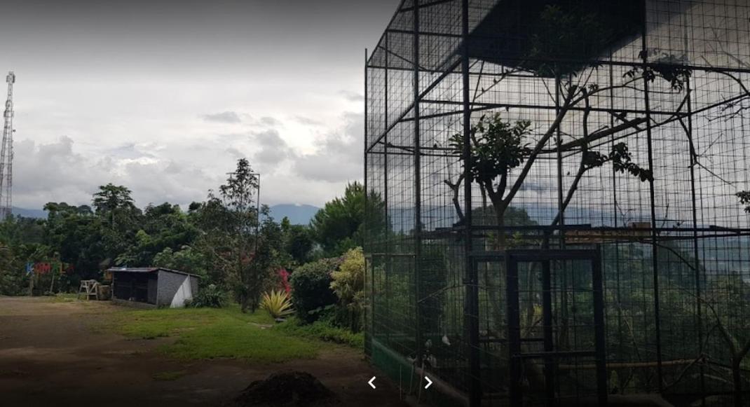 Villa Chacha At Macarena, Megamendung Exteriör bild